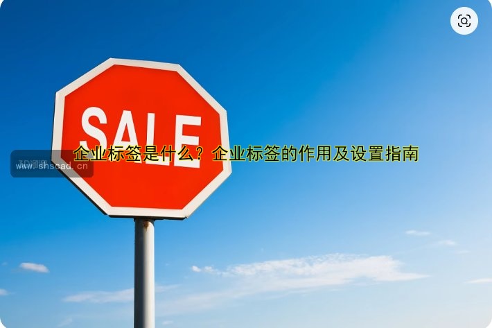 企業(yè)標簽是什么？企業(yè)標簽的作用及設置指南